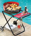 Terranto Charcoal Barbecue