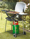 Weber Q200 Gas Barbecue