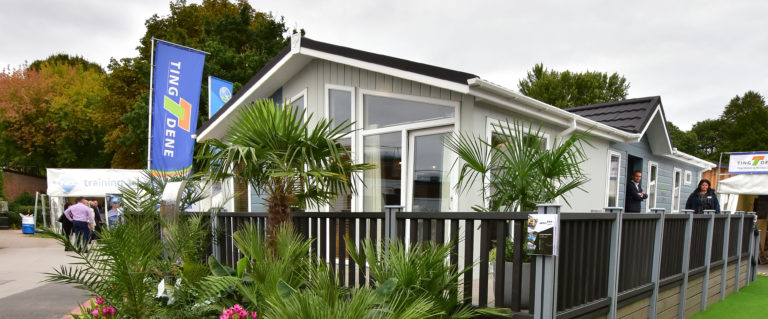 Tingdene havanah featured image