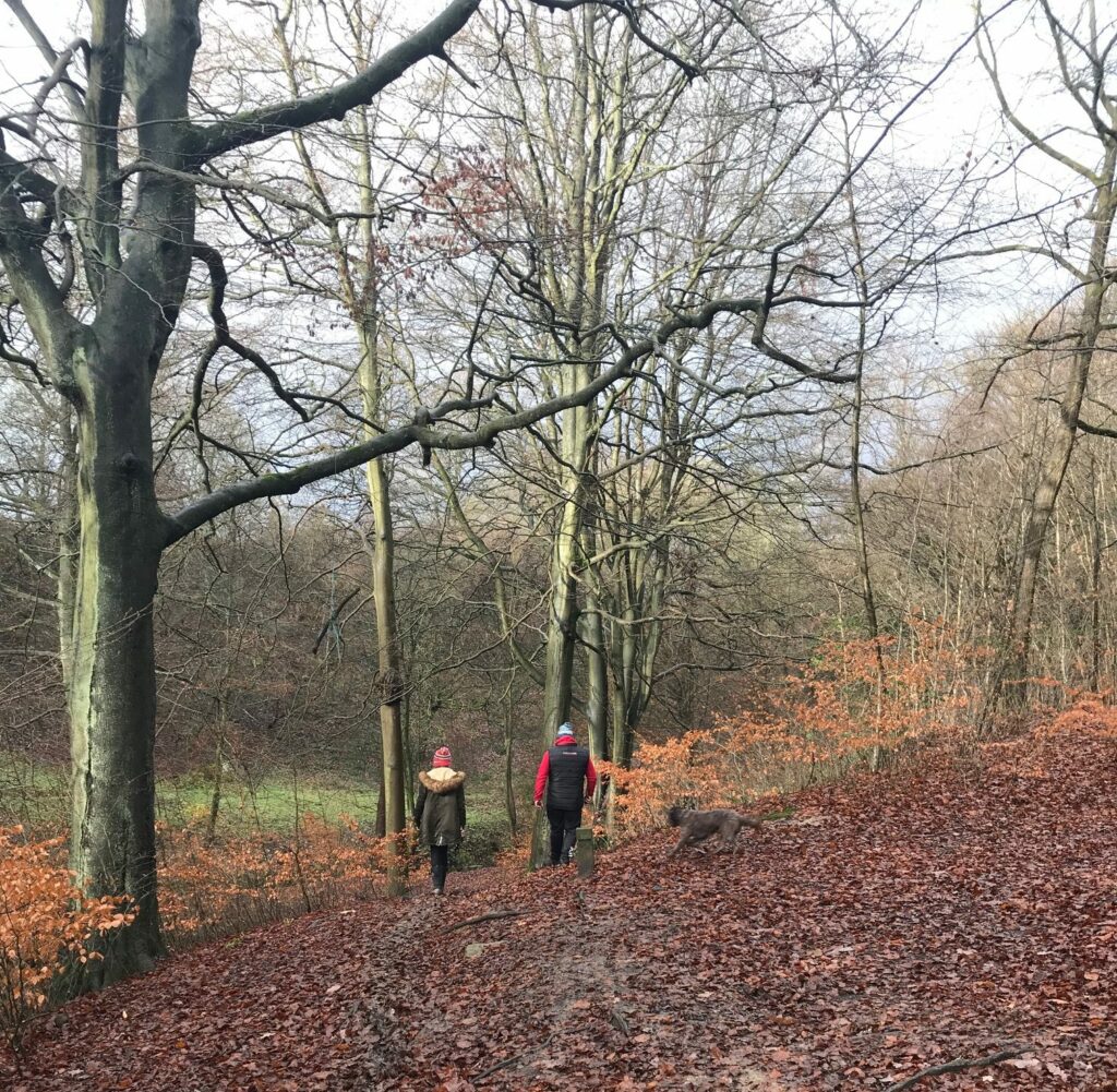 Walking in the woods