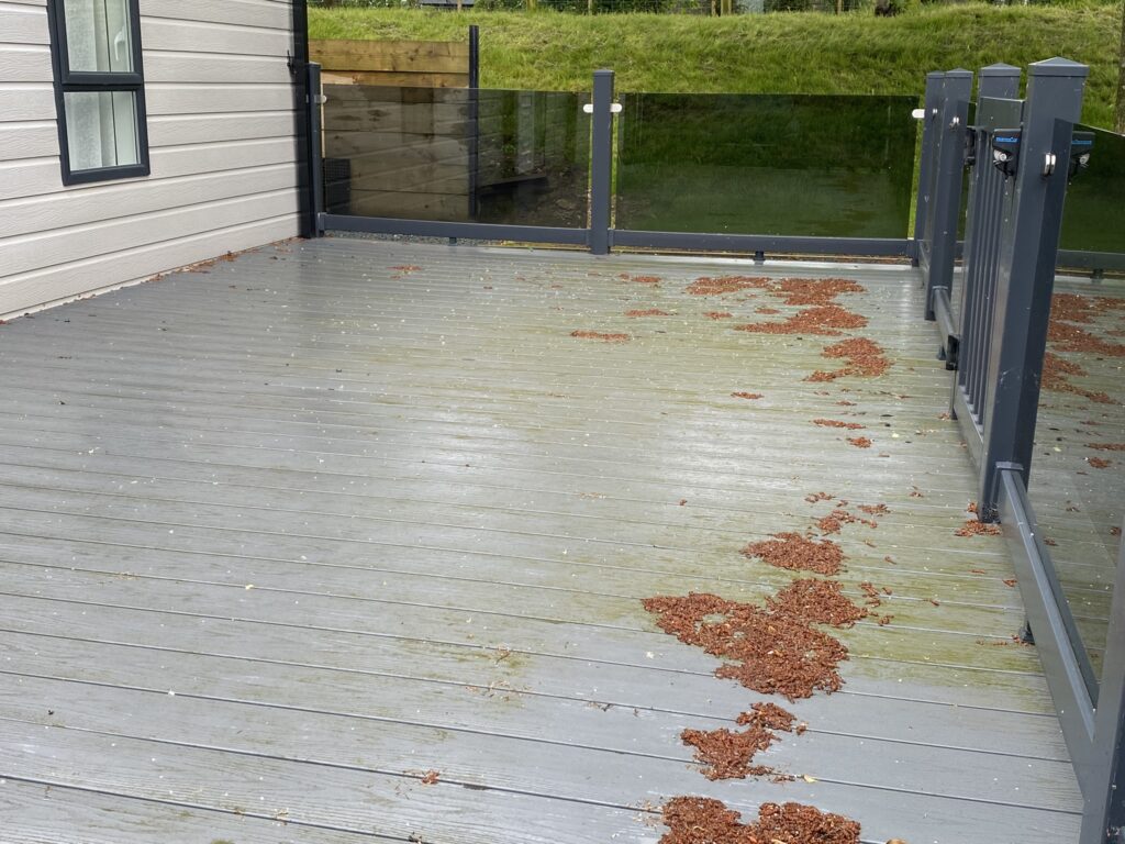 dirty caravan decking