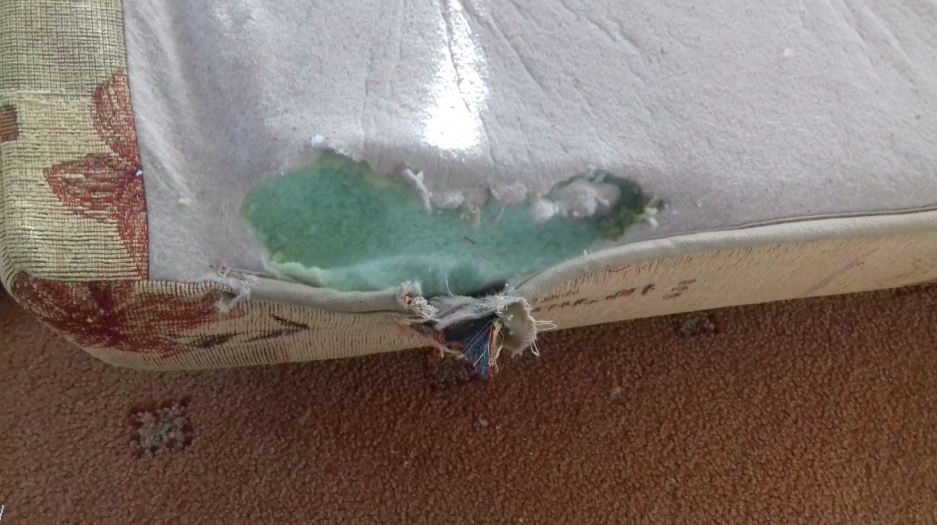 holiday caravan claim vermin damage