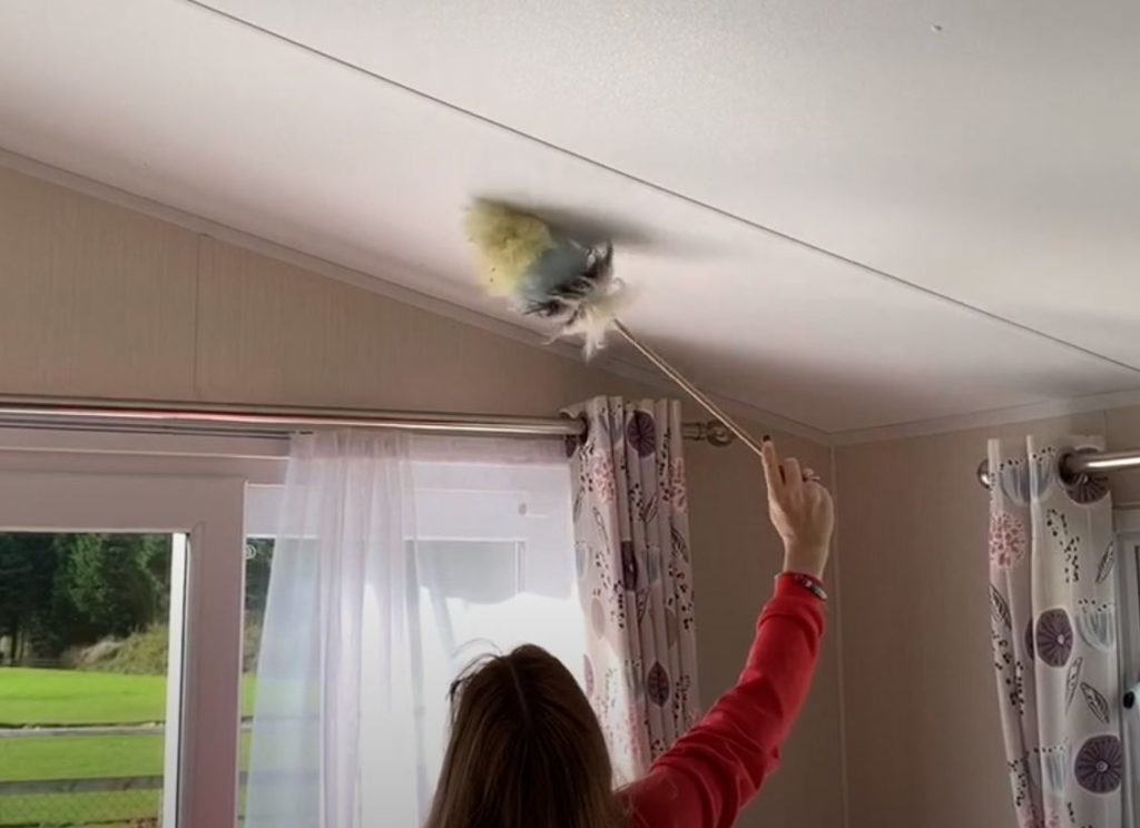 Dusting static caravan roof