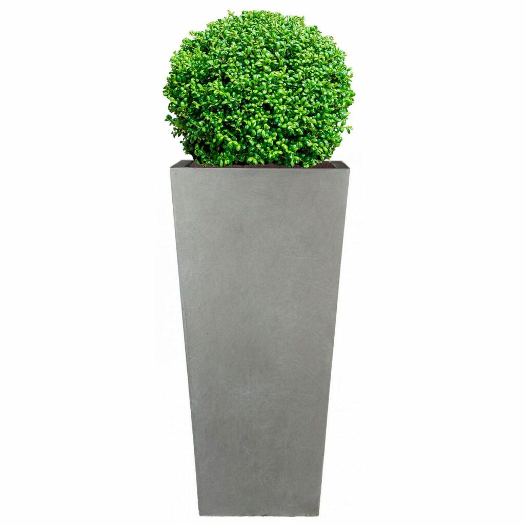 Tall concrete planter by Idealist