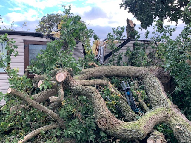 static caravan claim fallen tree