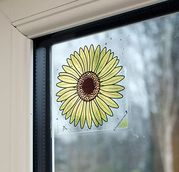 window fly sticker