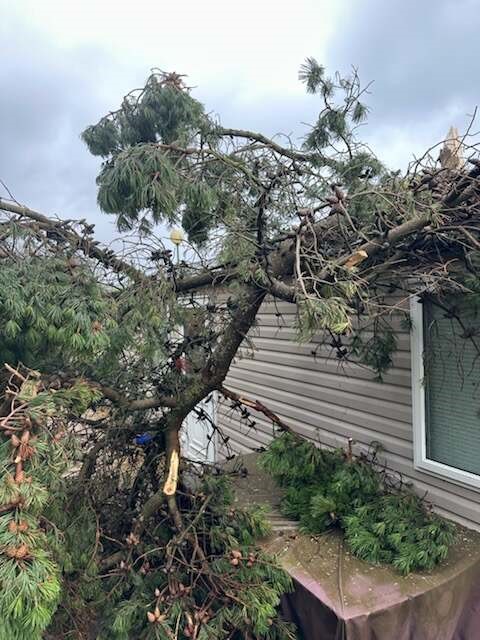 storm damaged static caravan